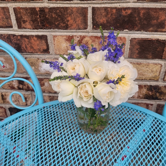 @aspfleegor Orchid & Vine Show! https://posh.mk/Dnom0BxXs0b - Picture 5 of 16